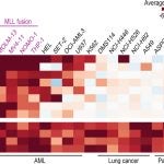 CRISPR screen for drug targets in leukemia