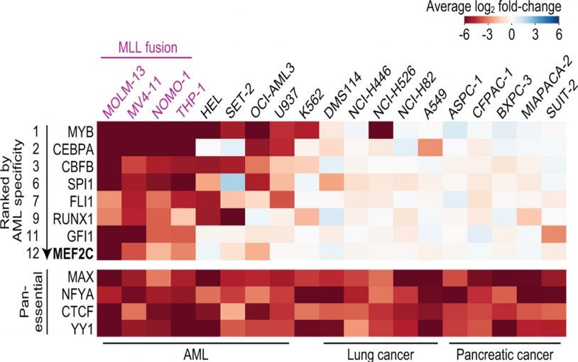 CRISPR screen for drug targets in leukemia