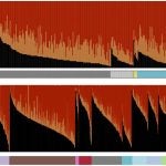 isoform proportion