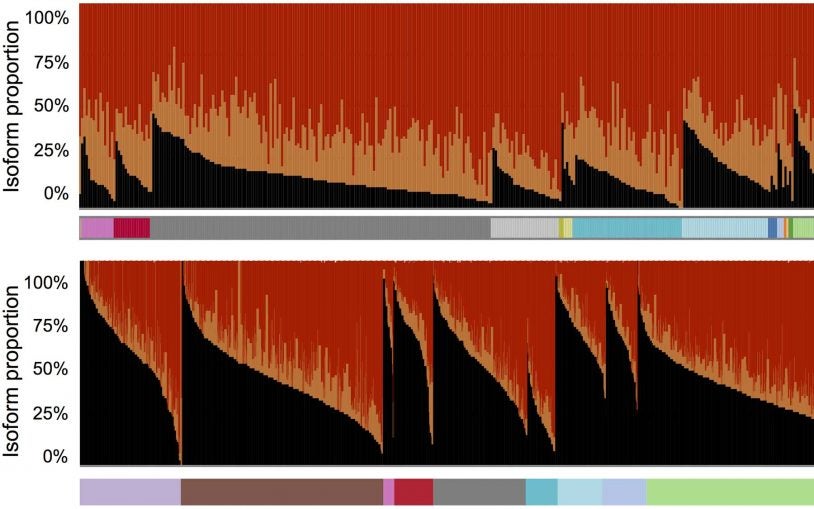 isoform proportion