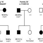 genetic pedigree chart
