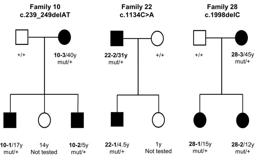 genetic pedigree chart