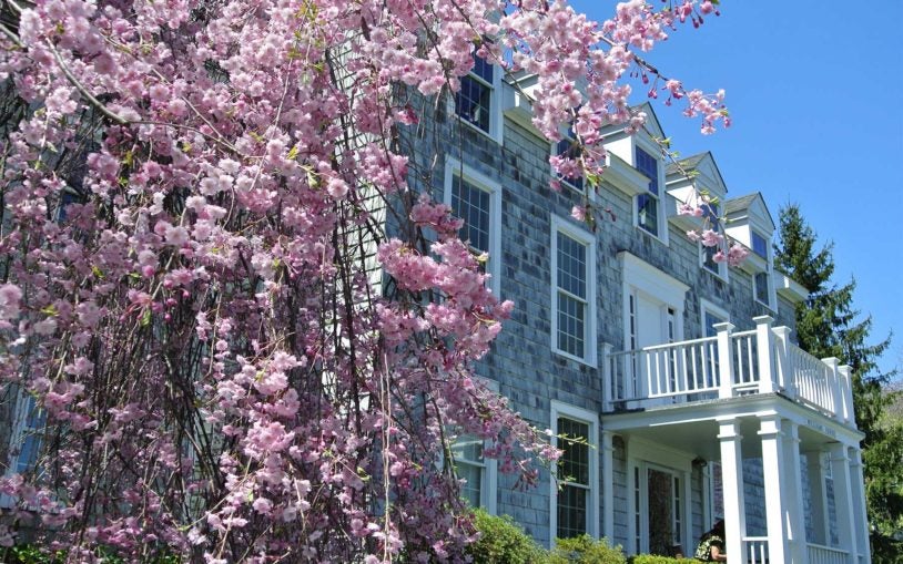 Flowers, Williams House Spring 2018