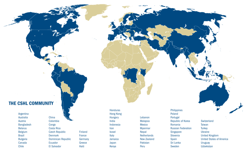 World map