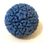 NIH HPV virus