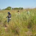 Marine Park, Brooklyn
