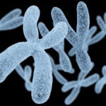 Base Pairs Podcast Chromosomes