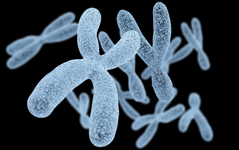 Base Pairs Podcast Chromosomes