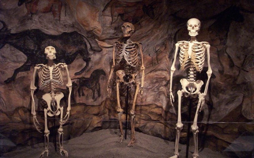 Ancient-Ancestry-Saturday-DNA-Event