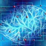 Brain neurons location