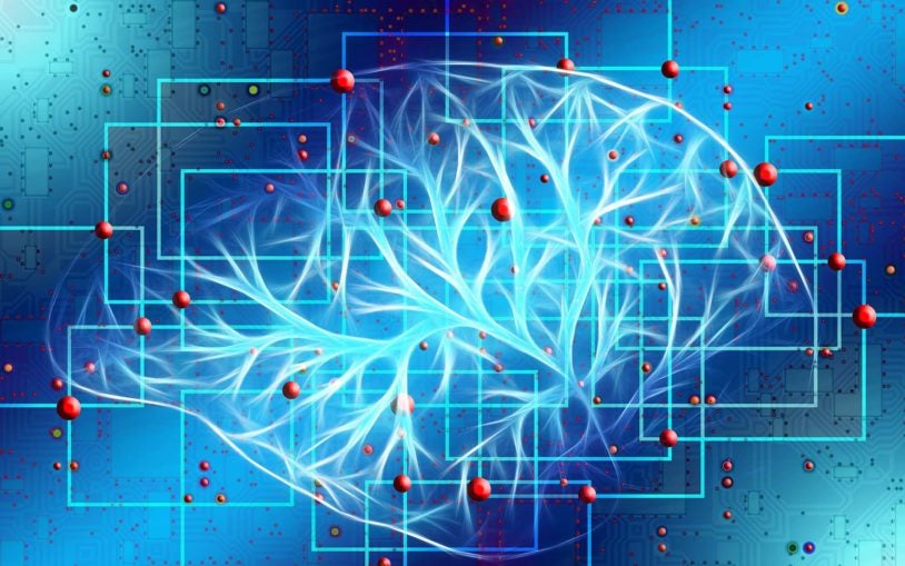 Brain neurons location