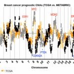 analysis chart of breast cancer patient gene