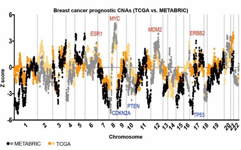 analysis chart of breast cancer patient gene