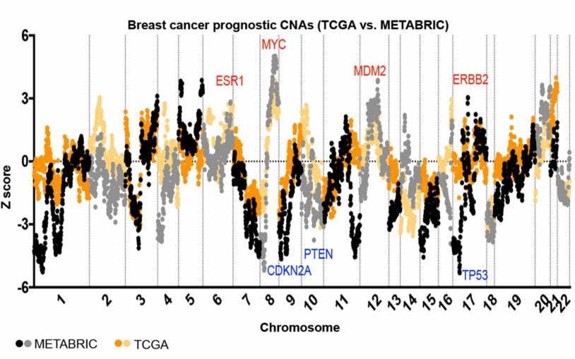 Taking uncertainty out of cancer prognosis