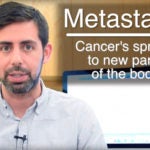 Jason Sheltzer Metastasis