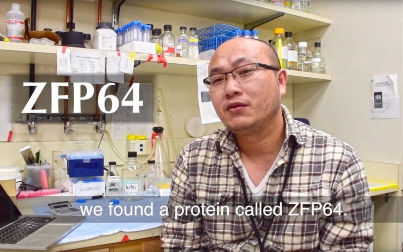 ZFP64 protein blood cancer