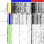 Krasnitz Wigler heatmap