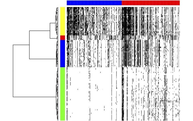 Mathematical technique de-clutters cancer-cell data, revealing tumor evolution, treatment leads