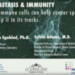Egeblad Metastasis and immunity