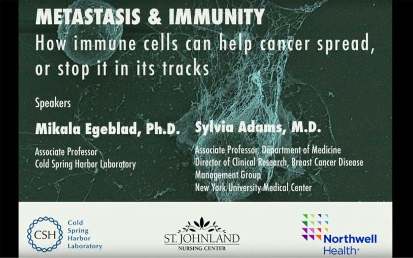 Egeblad Metastasis and immunity