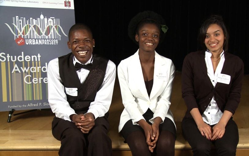 Urban Barcode Project Winners 2012