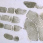 photo of hand finger printed