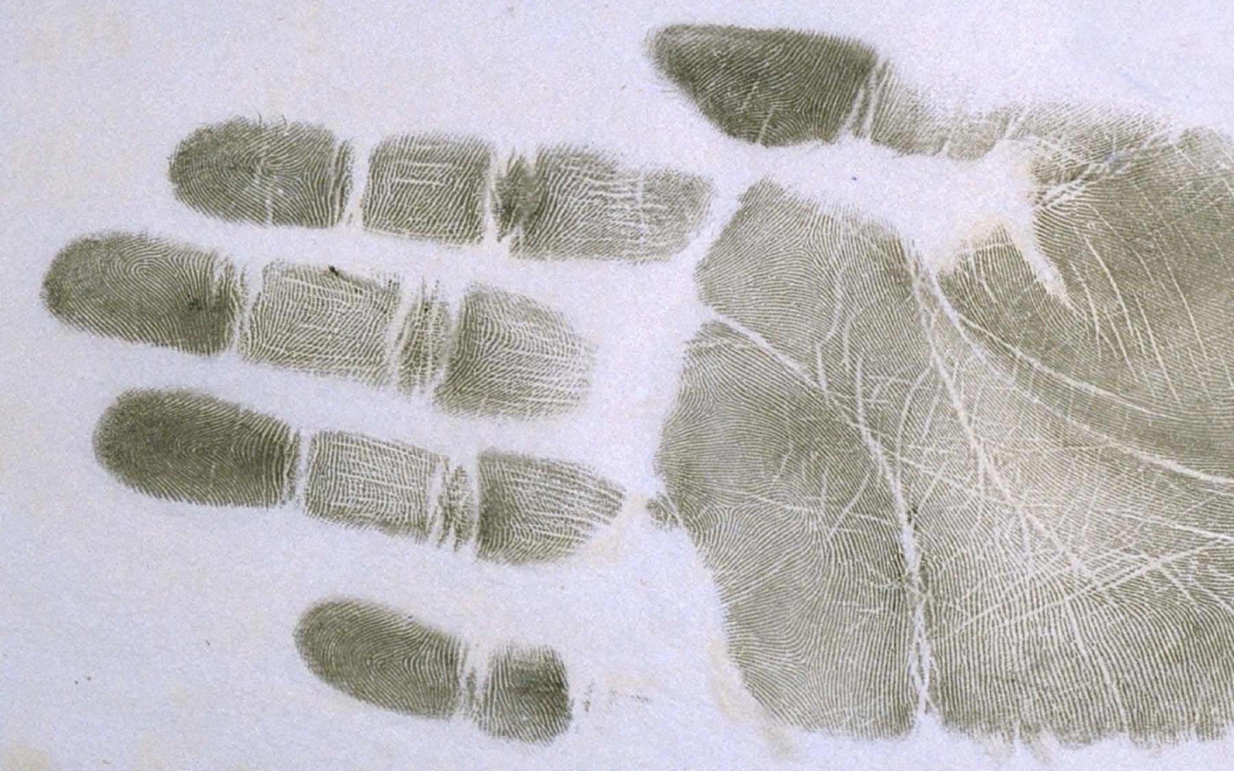 photo of hand finger printed