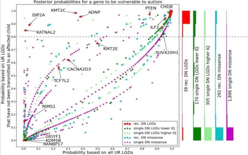 Genetic analysis supports prediction that spontaneous rare mutations cause half of autism