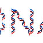 DNA typography