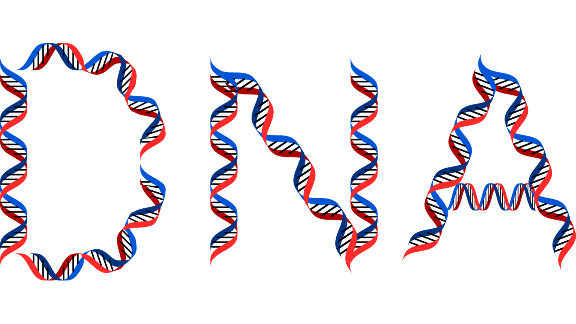 DNA typography