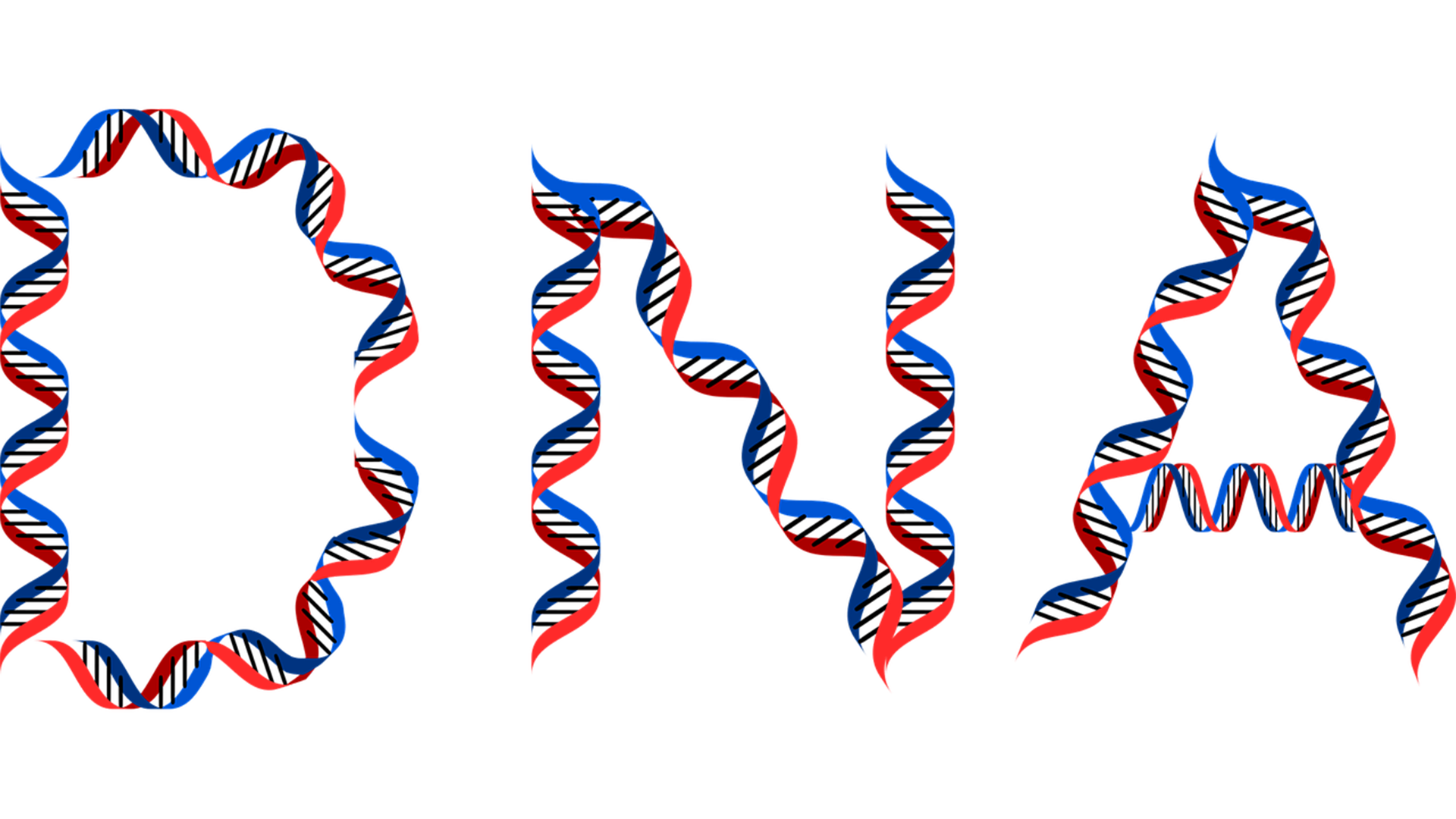 Dna And Pop Culture Quiz Cold Spring Harbor Laboratory