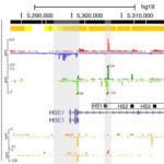 K562 cell line data set