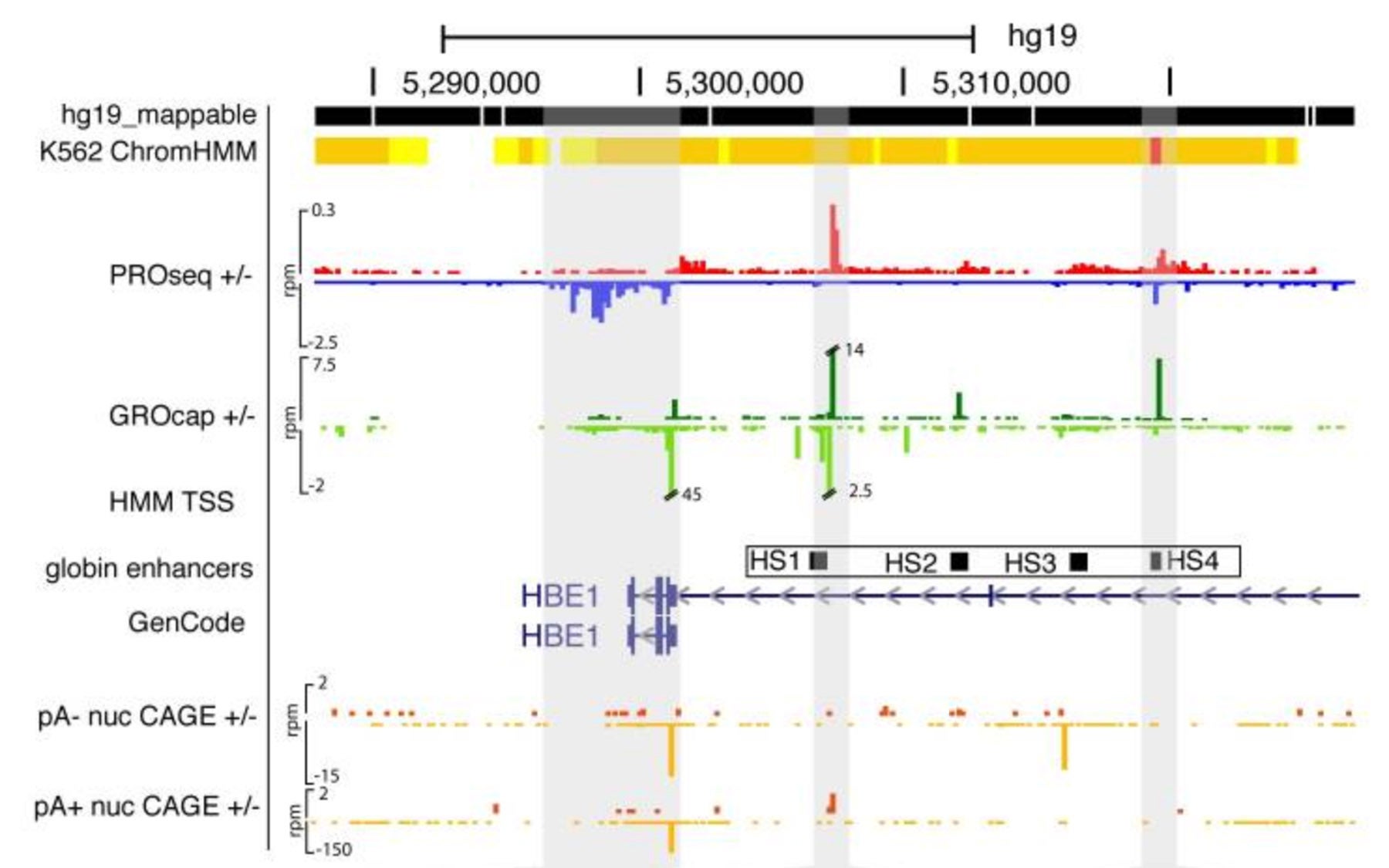 K562 cell line data set