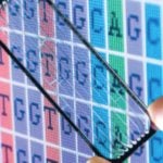 Seeing with Sequencing