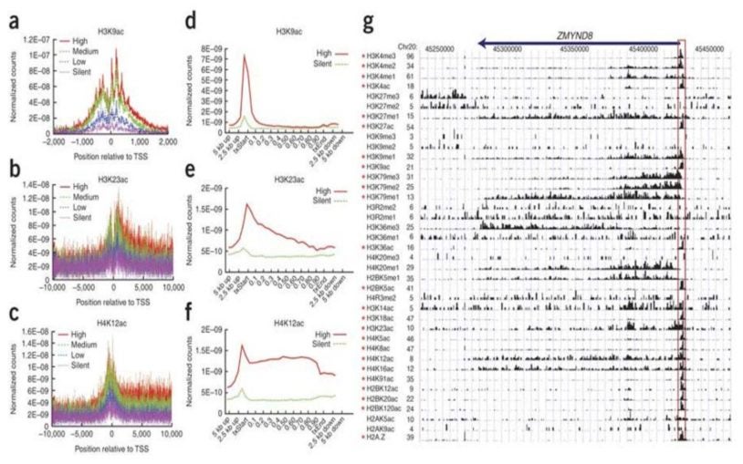 acetylations methylations human genome