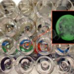 Tuveson organoids