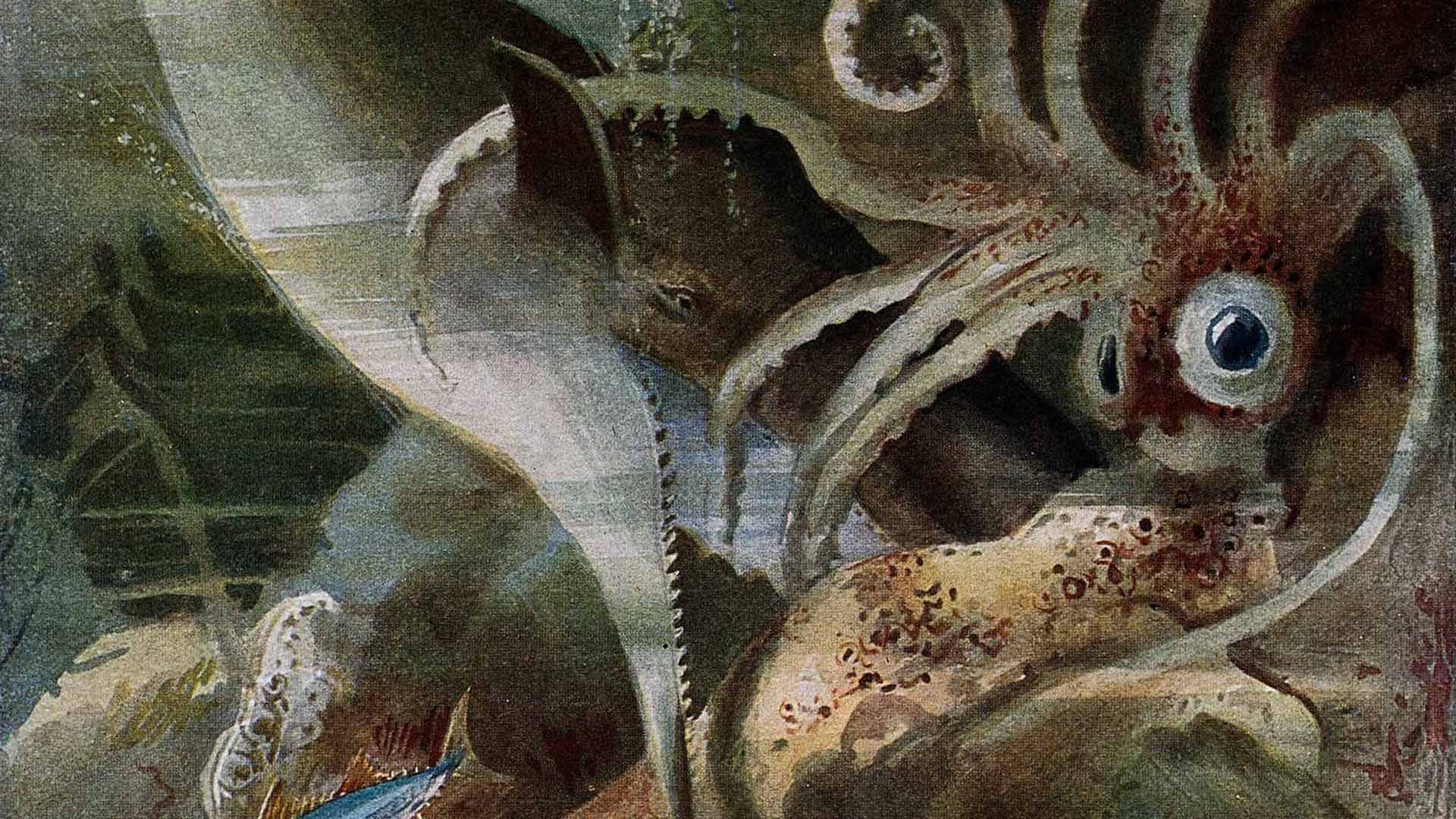 Creature feature quiz | Cold Spring Harbor Laboratory Creature feature quiz | Cold Spring Harbor Laboratory