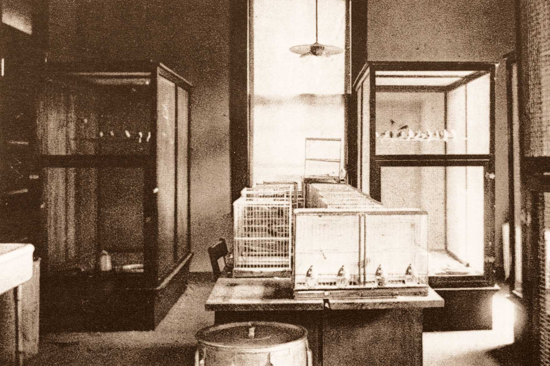 Breeding Room Main Building 1906