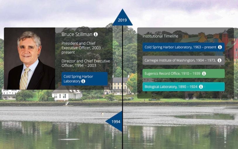 directors and institutes timeline