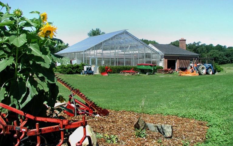 photo of Uplands farm greenhouse