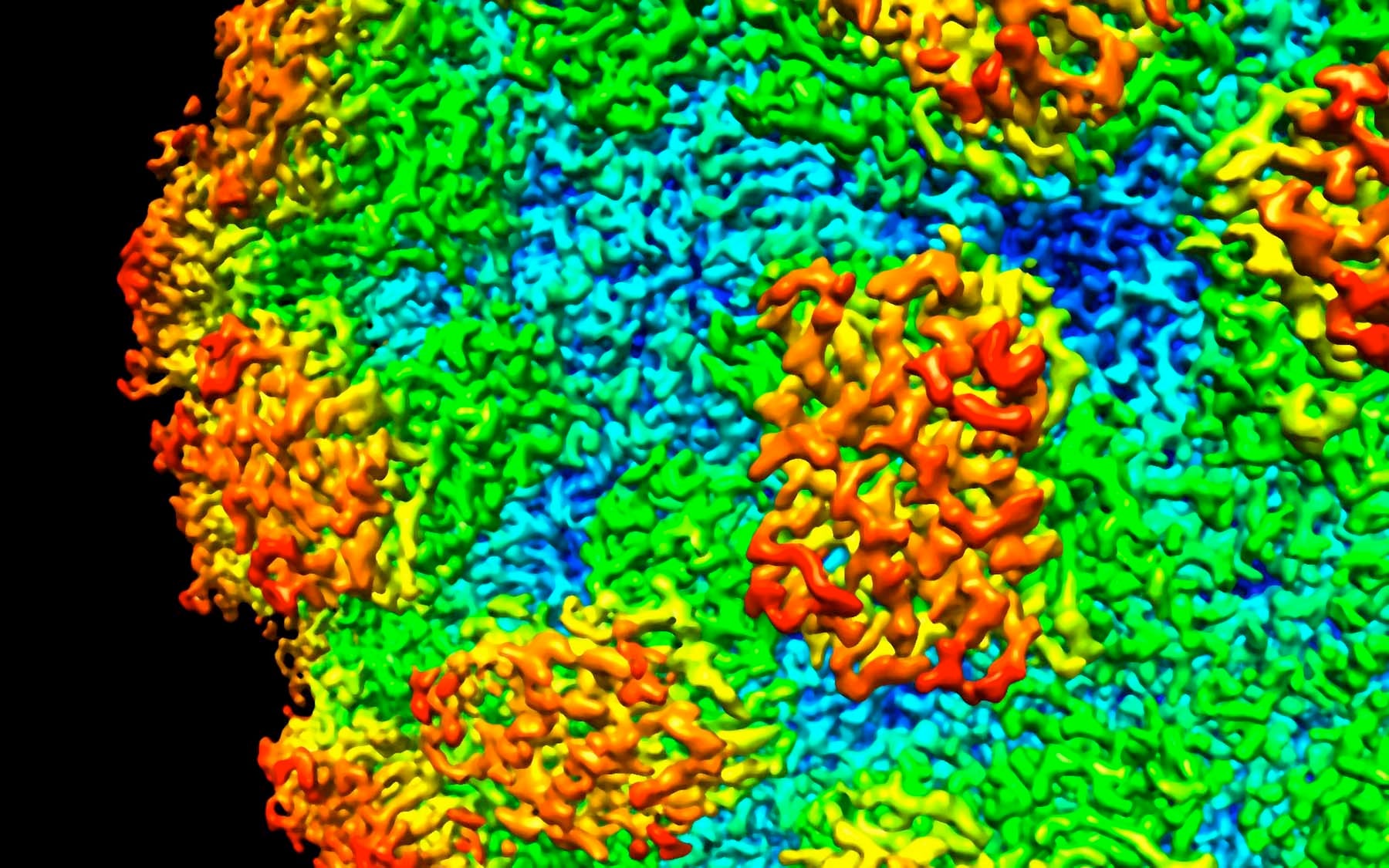 graphic of one experiment norovirus shell