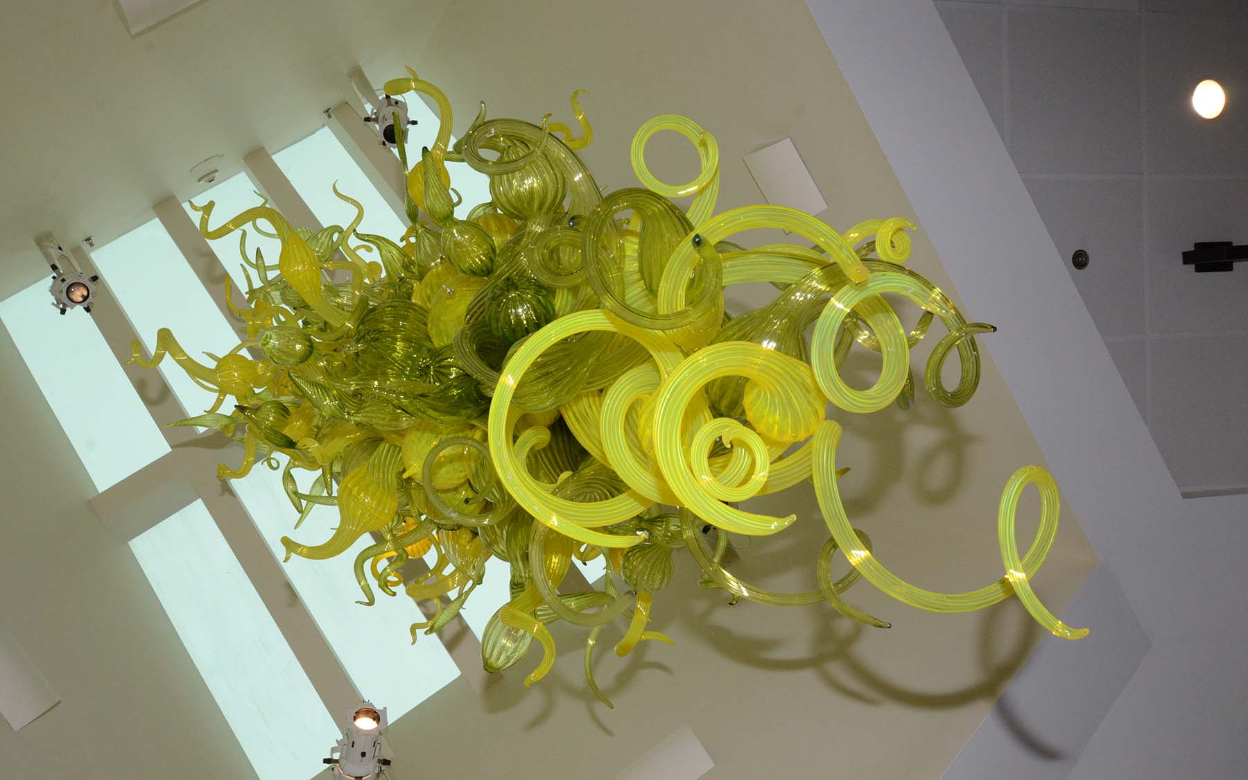 photo of tangled nerves by Dale Chihuly