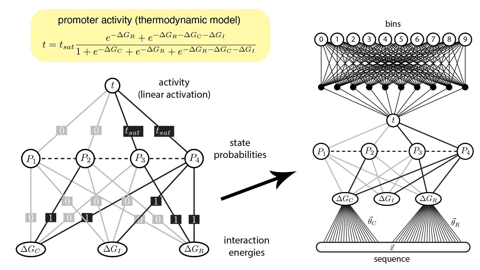 graphic of the Artificial Neural Network (ANN)