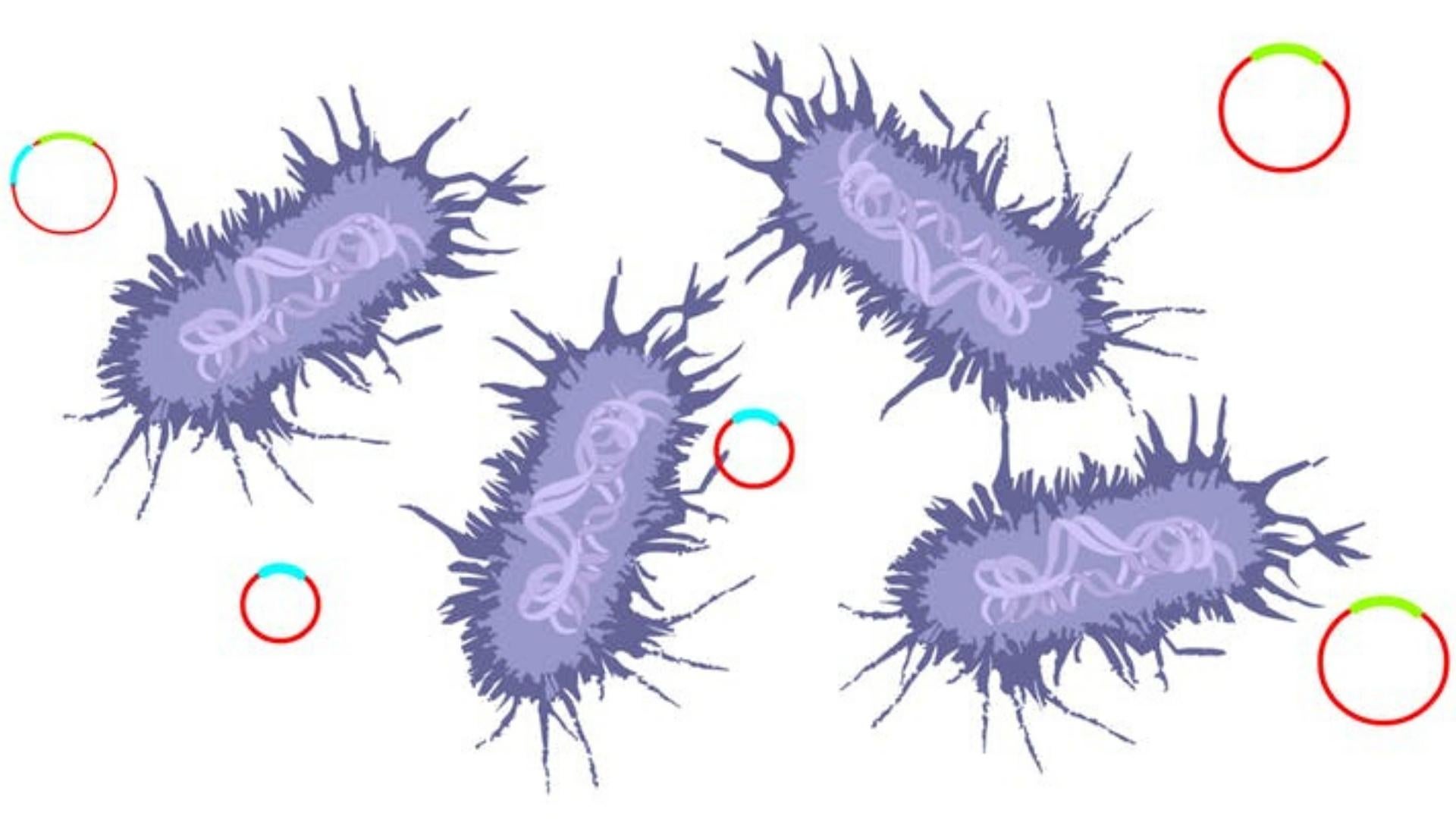 Illustration of magnified stylized bacteria and DNA plasmids