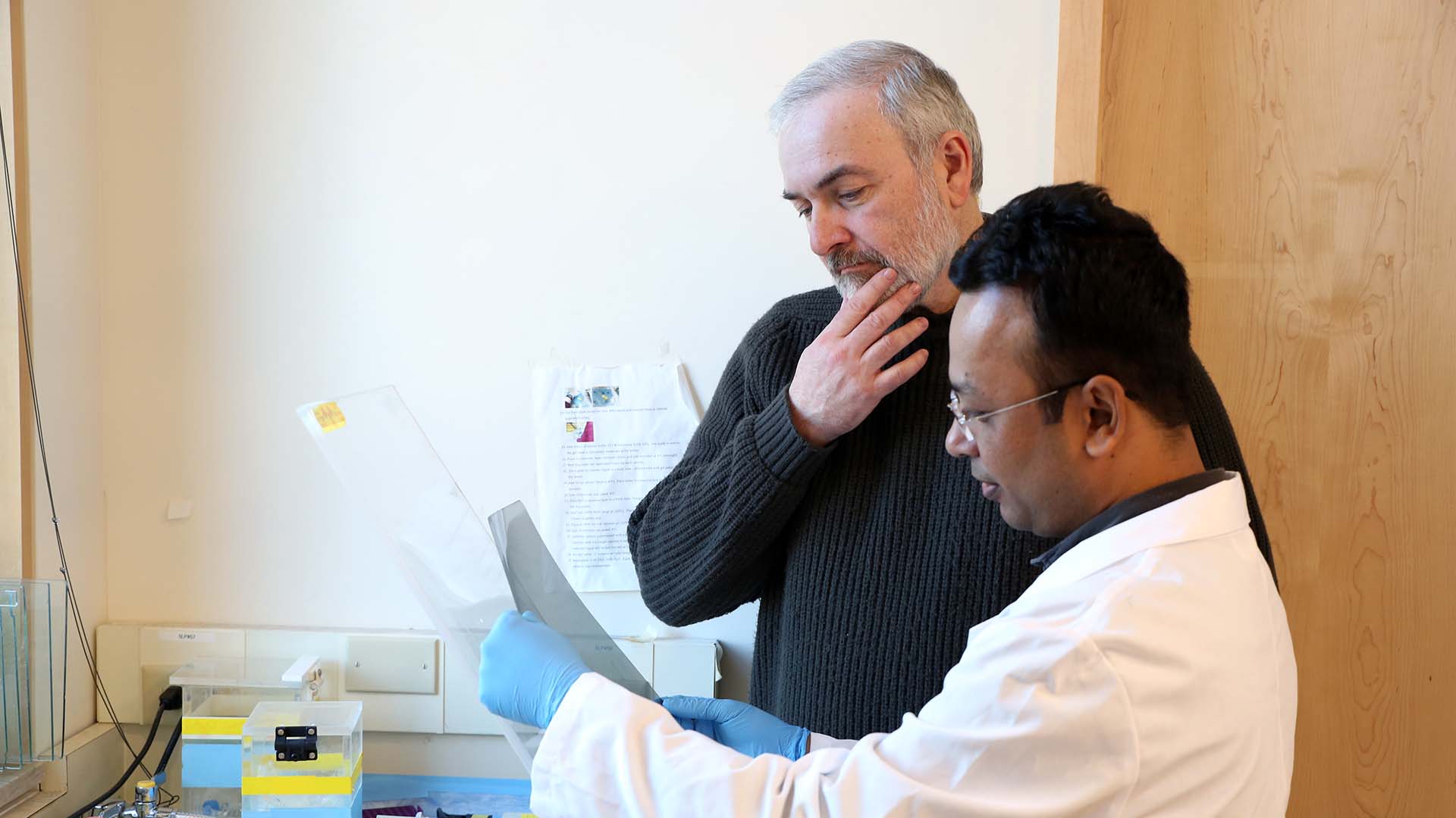 photo of Adrian Krainer and Mohammad Alinoor Rahman observing results