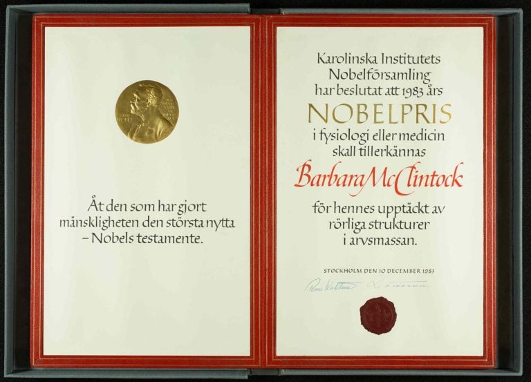 image of Barbara McClintock nobel prize folio