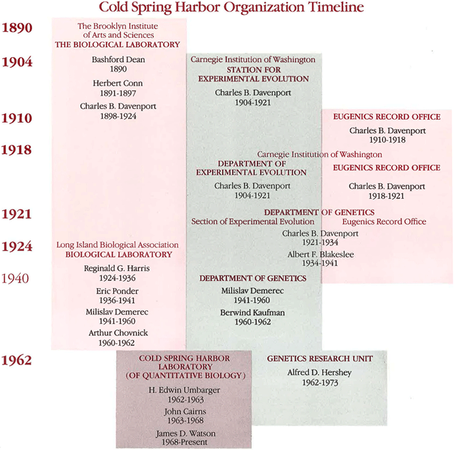 graphic of CIW Cold Spring Harbor Organizational timeline