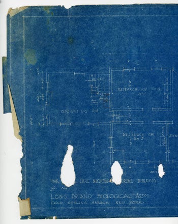 image of CSHL blueprint damaged