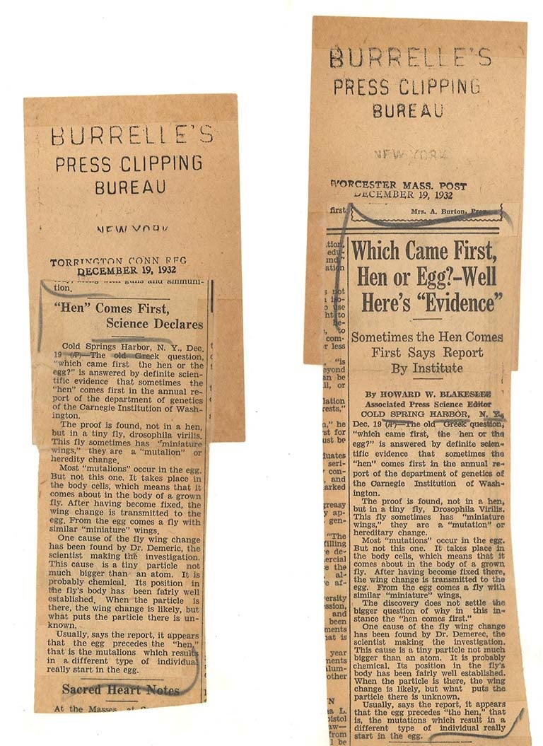 image of Chicken and Egg news clipping