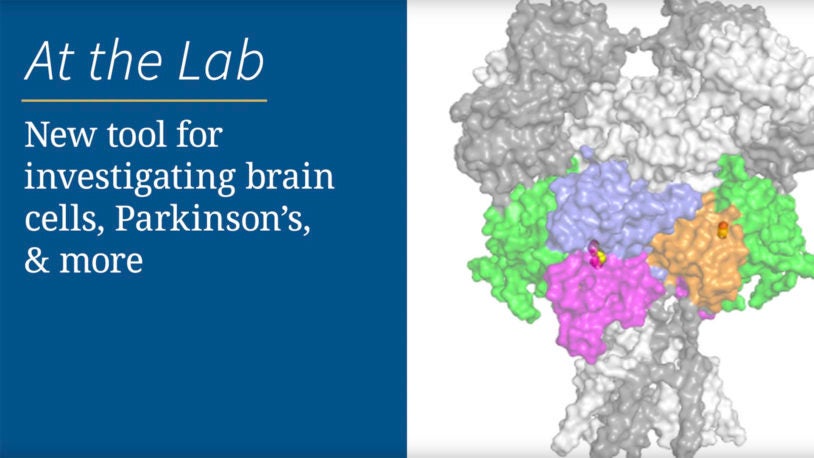 New tool for investigating brain cells, Parkinson’s, & more